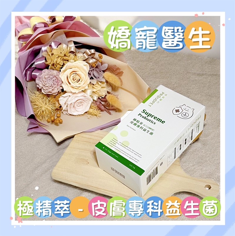 試用